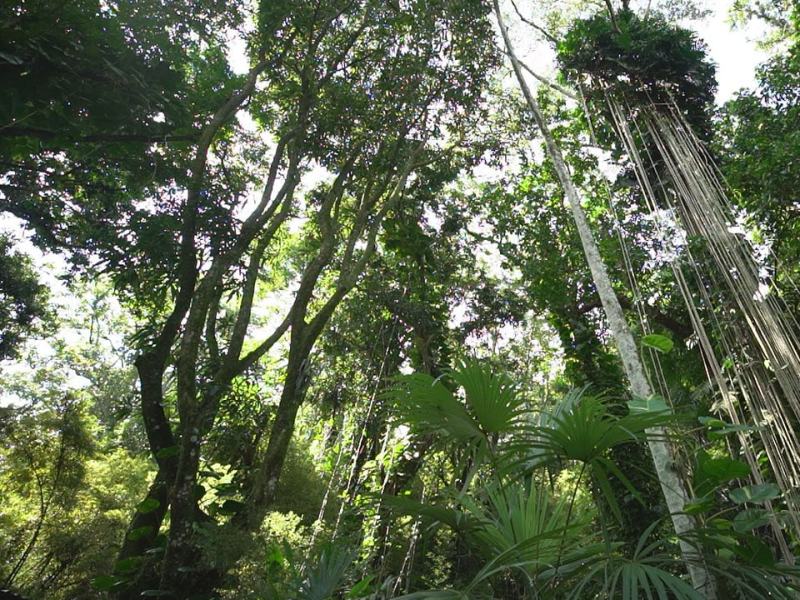 RED - Giardini fantastici e dove trovarli