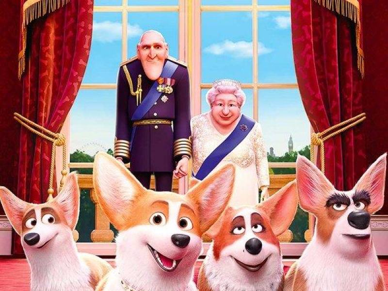 Rex - Un cucciolo a palazzo