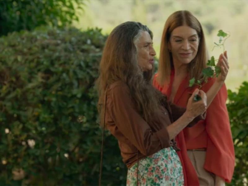 Ritorno a Las Sabinas - Stag. 1 Ep. 51 - Episodio 51