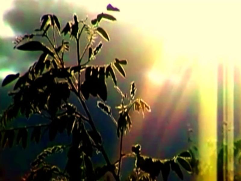 Schegge di memoria nell'orizzonte degli eventi - Ad Adriano