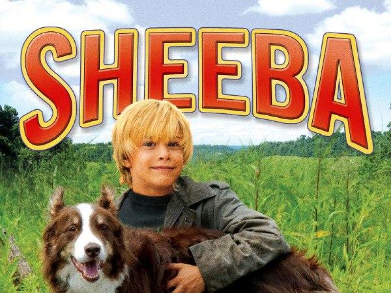 Sheeba