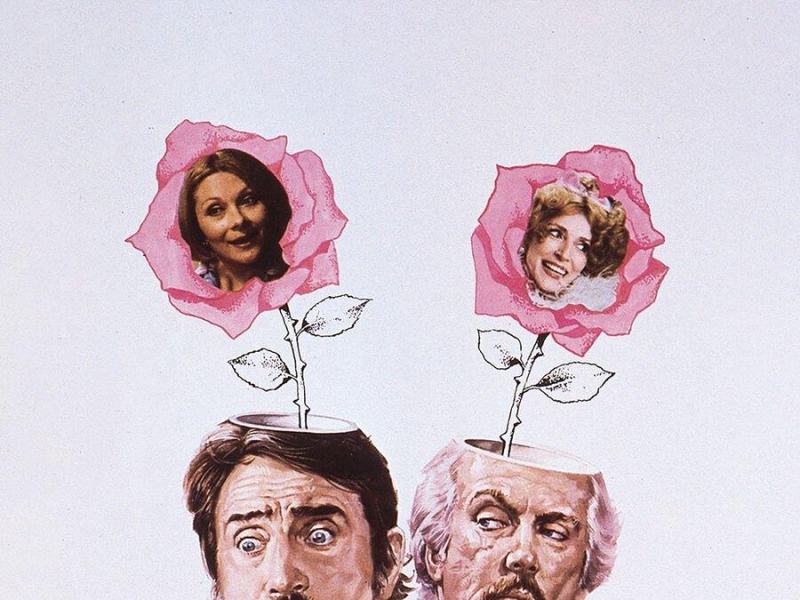 Son tornate a fiorire le rose