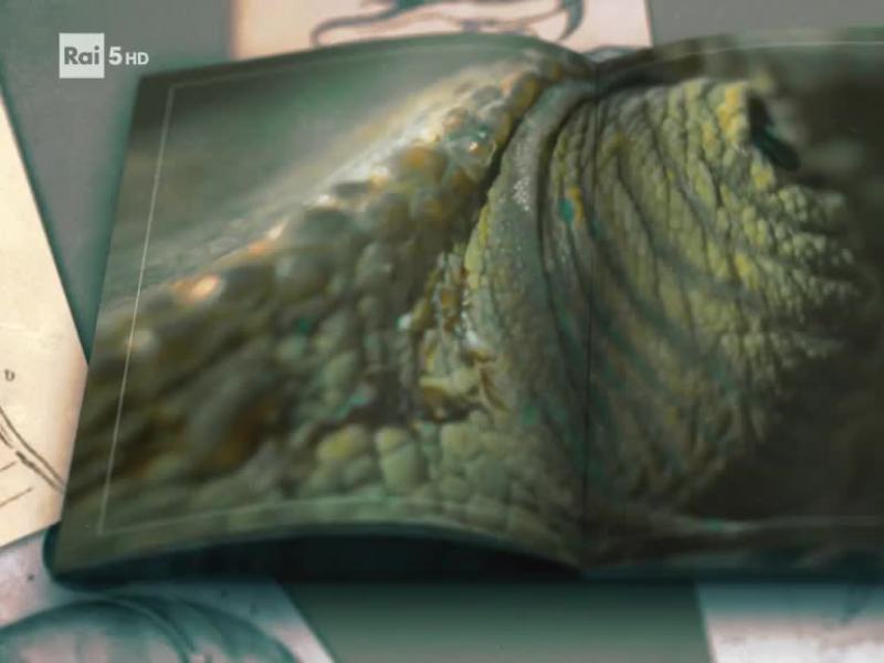 Sri Lanka - L'isola dei monsoni - Stag. 1 Ep. 3 - I predatori dei laghi