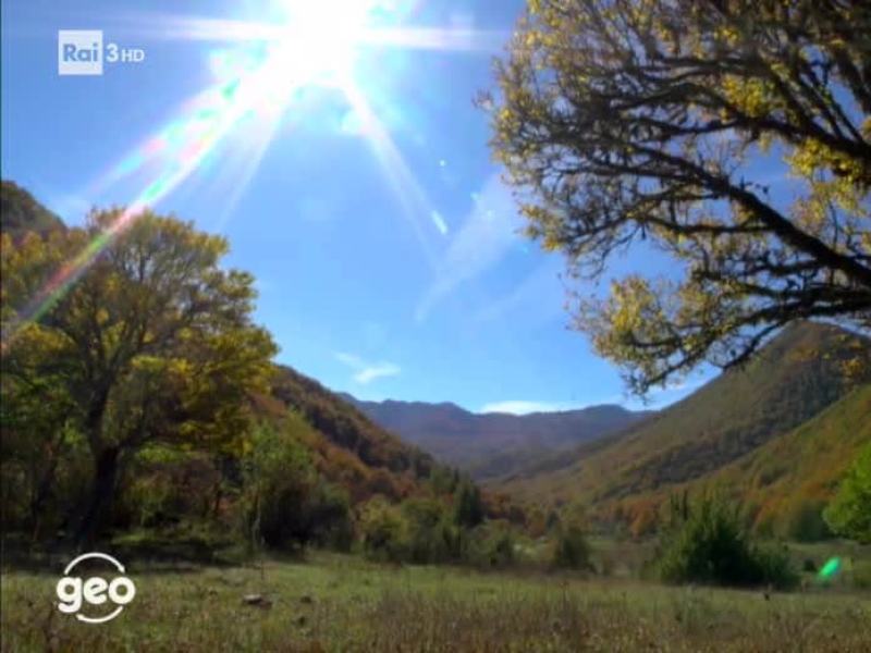 Stag. 2018 - Geo 2018