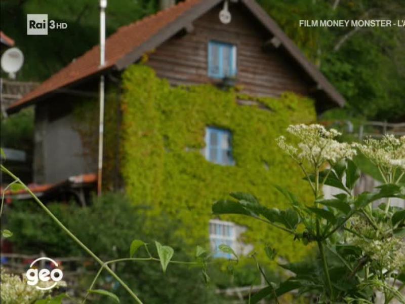 Stag. 2019 - Geo 2019