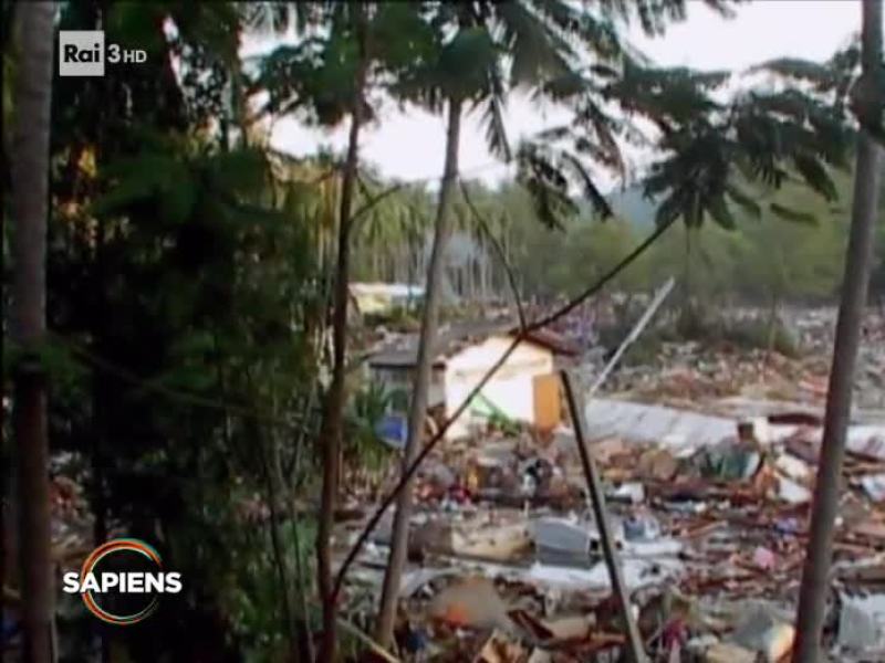 Stag. 2019 - Sapiens - Un solo pianeta 2019