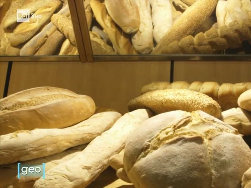 Stag. 2022 - Geo 2022