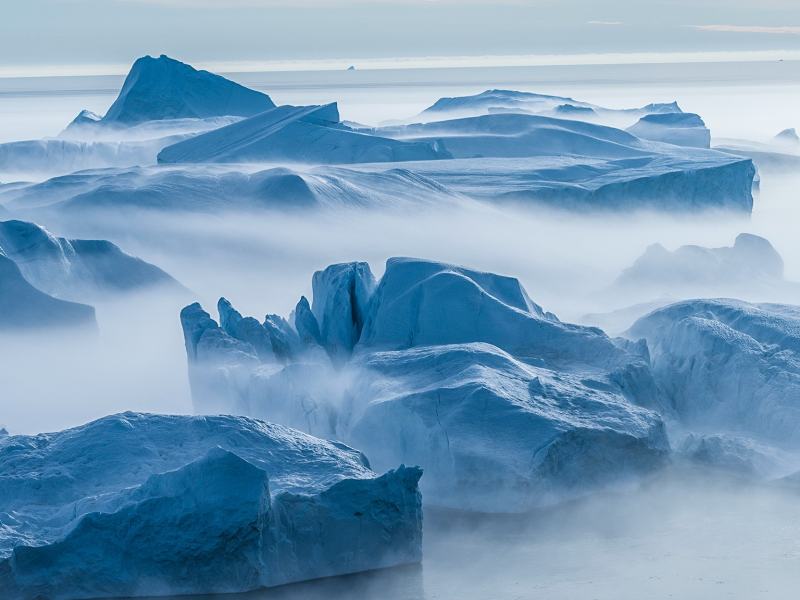 Stag. 2025 - Evolution - Il viaggio di Darwin