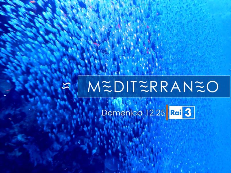 Stag. 2025 - TGR Mediterraneo