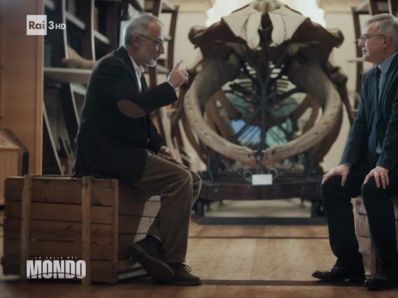 Stag. 2026 - La pelle del mondo 2026