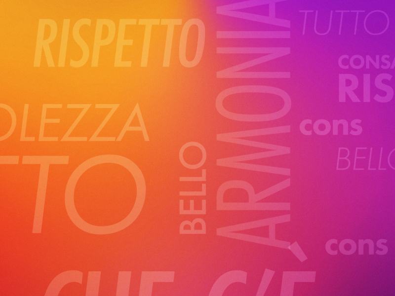 Stag. 2026 - TG2 Tutto il bello che c'è 2026
