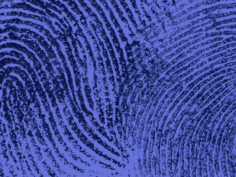 TG2 Storie. I racconti della settimana - Stag. 2025 - Puntata del 29/11/2025