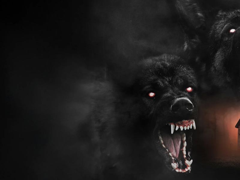 The Dogs