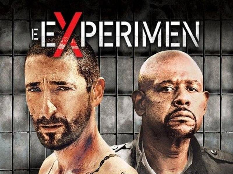 The Experiment