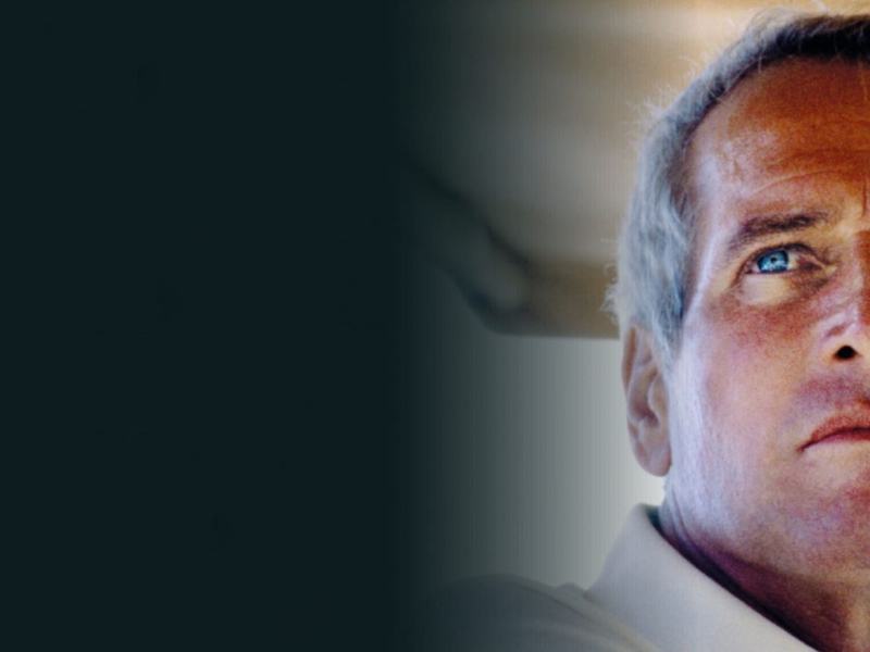 Torino Film Festival