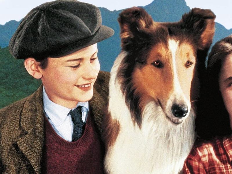Torna a casa, Lassie!