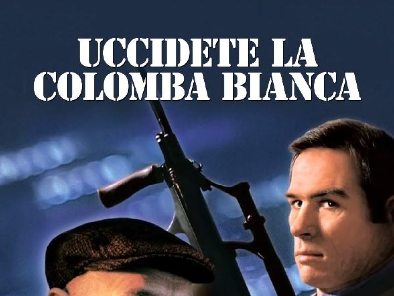 Uccidete la colomba bianca