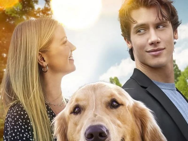 Un amore a quattro zampe