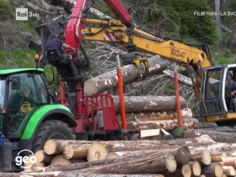 Un bosco nuovo - Stag. 2020 - Un bosco nuovo