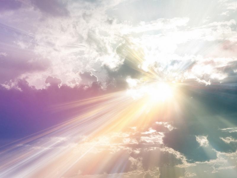 Un pappagallo tra le nuvole