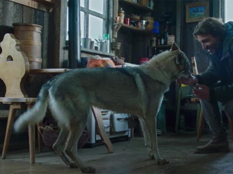 Un passo dal cielo - Stag. 6 Ep. 9 - La domesticazione dell'uomo  - Parte 1