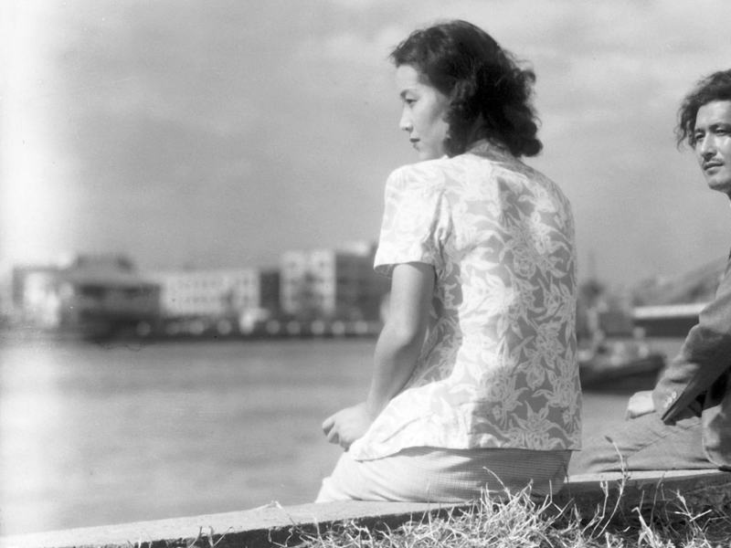 Una gallina nel vento