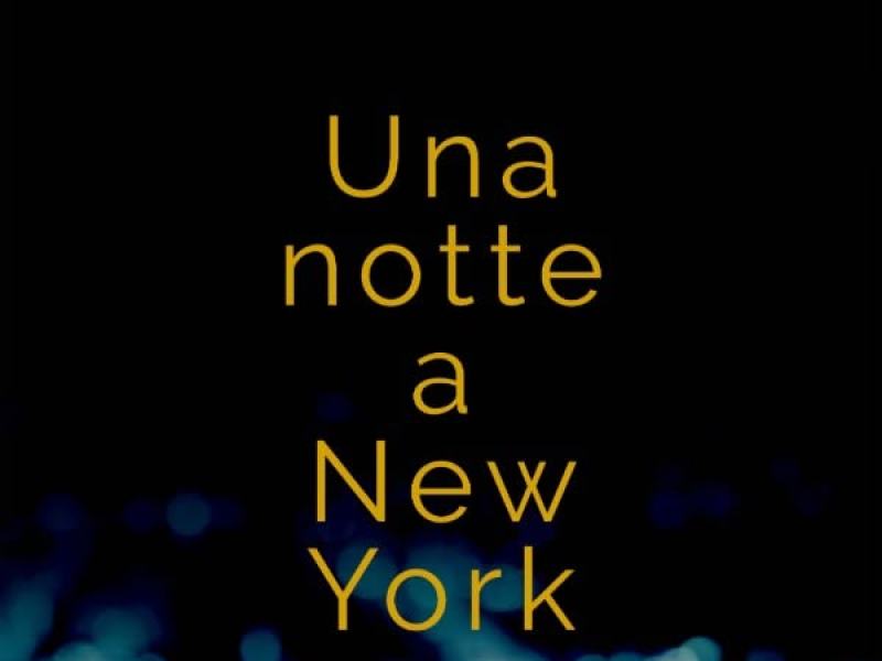 Una notte a New York