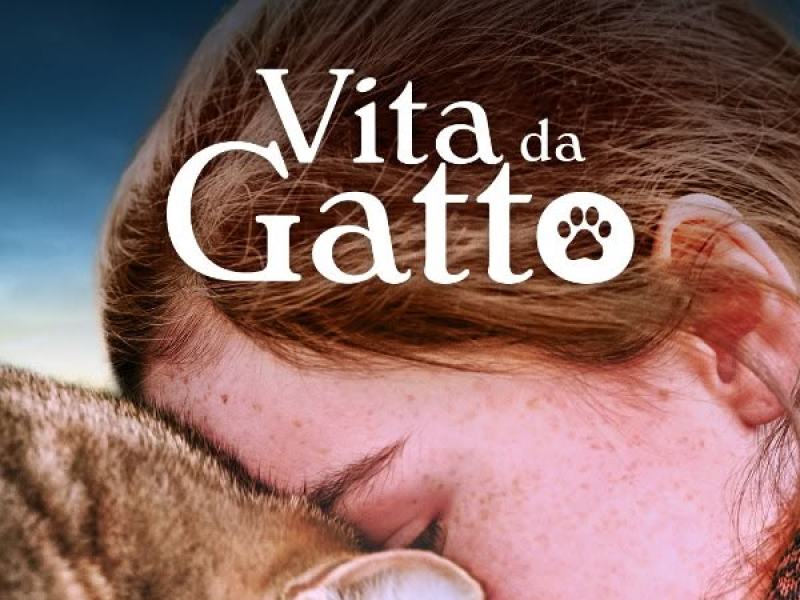 Vita da gatto