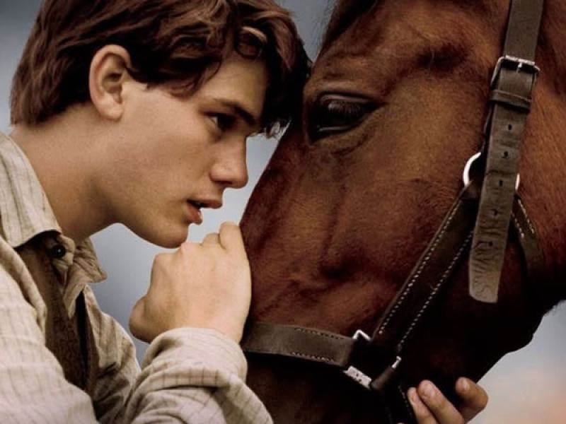 War Horse