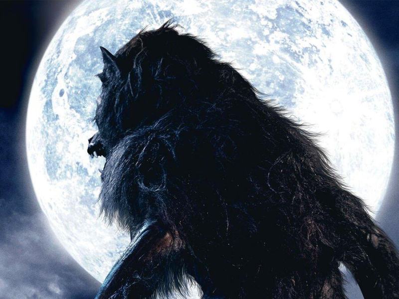 Werewolf: La bestia è tornata
