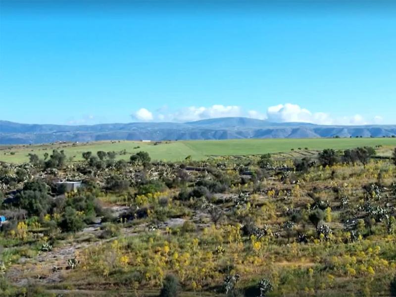 Wild Italy 7 - Stag. 7 Ep. 2 - L'antropocene, le ultime steppe