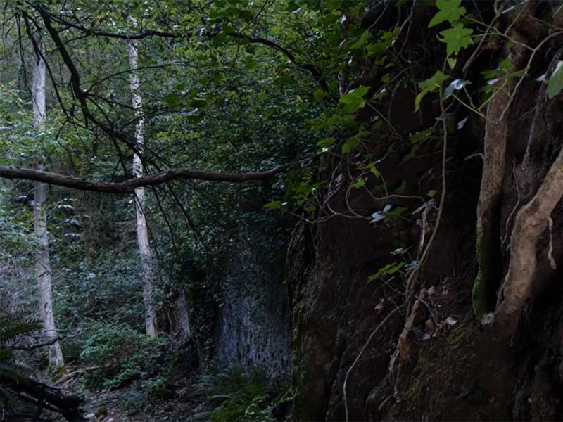 Wild Italy - Stag. 7 Ep. 5 - L'antropocene, il Far West