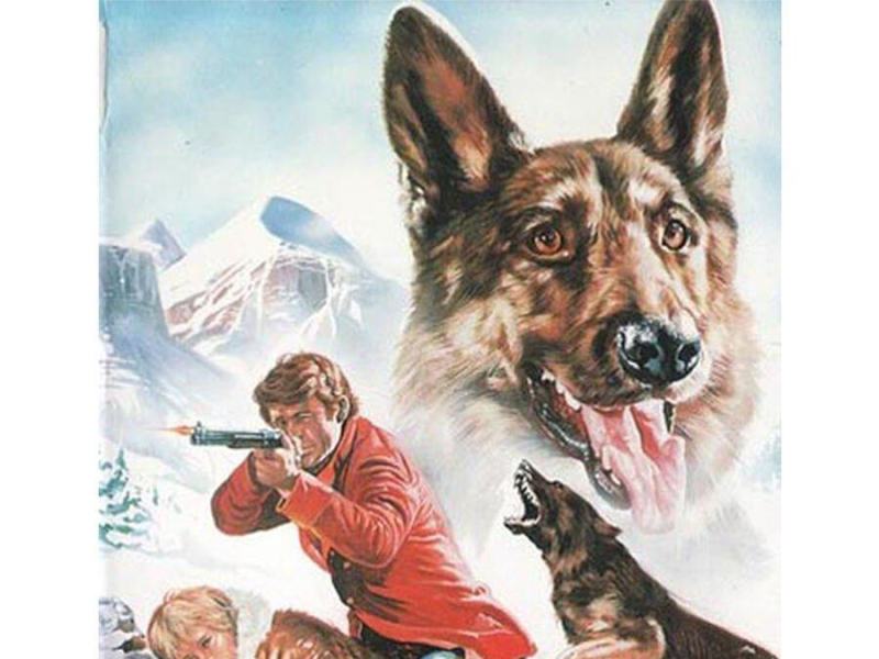 Zanna Bianca e il cacciatore solitario