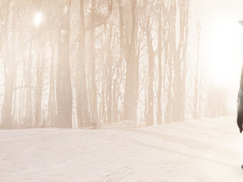 Zucchero - Sugar Fornaciari